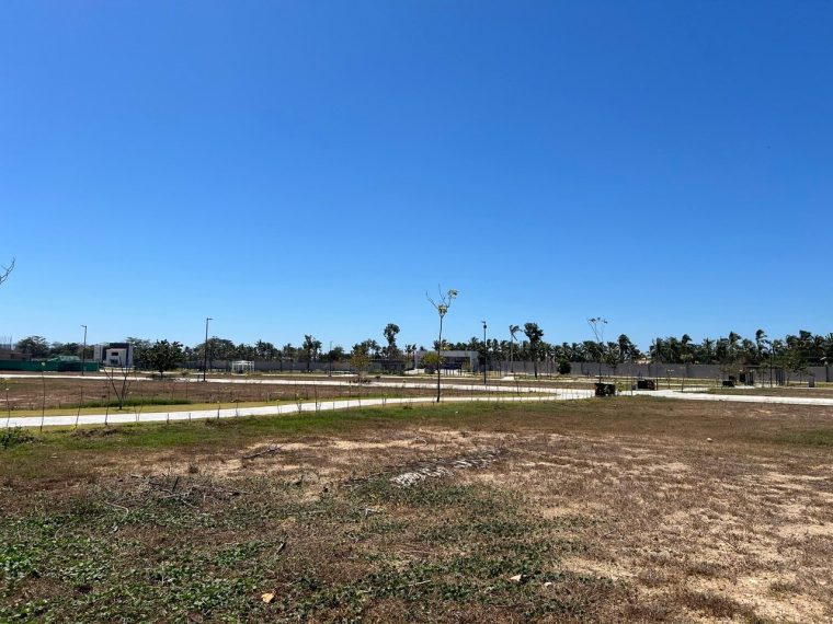 Lote 145 - Karakal