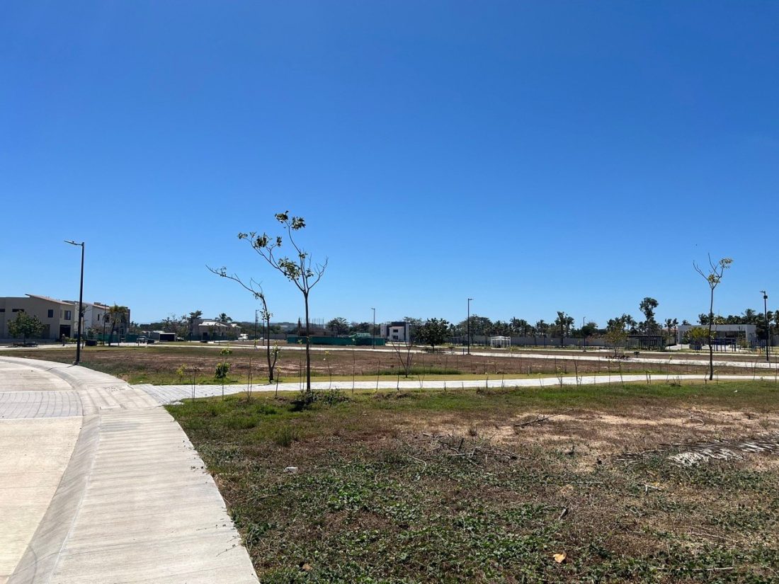 Lote 146 - Karakal