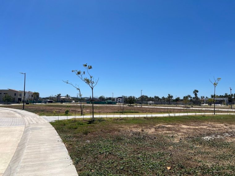 Lote 146 - Karakal