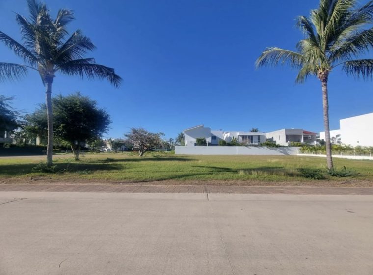Lote 51